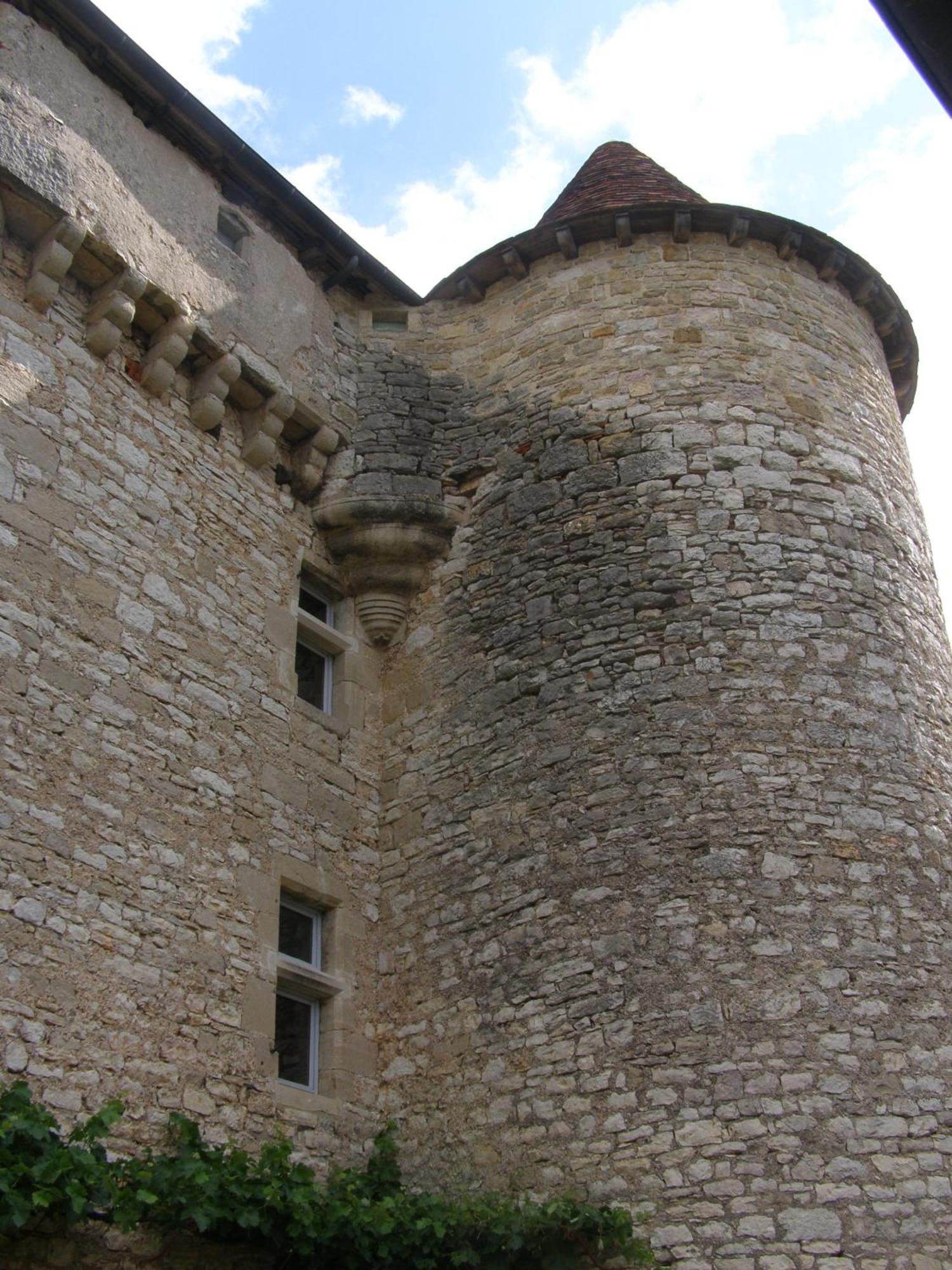 Château de Camboulan Ambeyrac Exterior foto