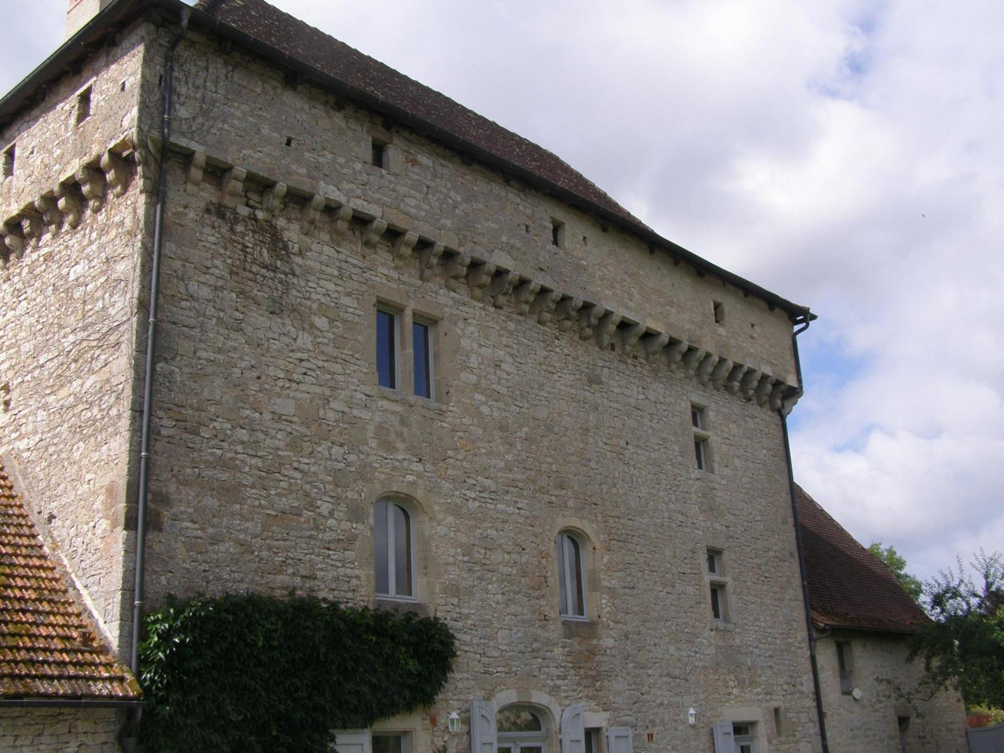 Château de Camboulan Ambeyrac Exterior foto