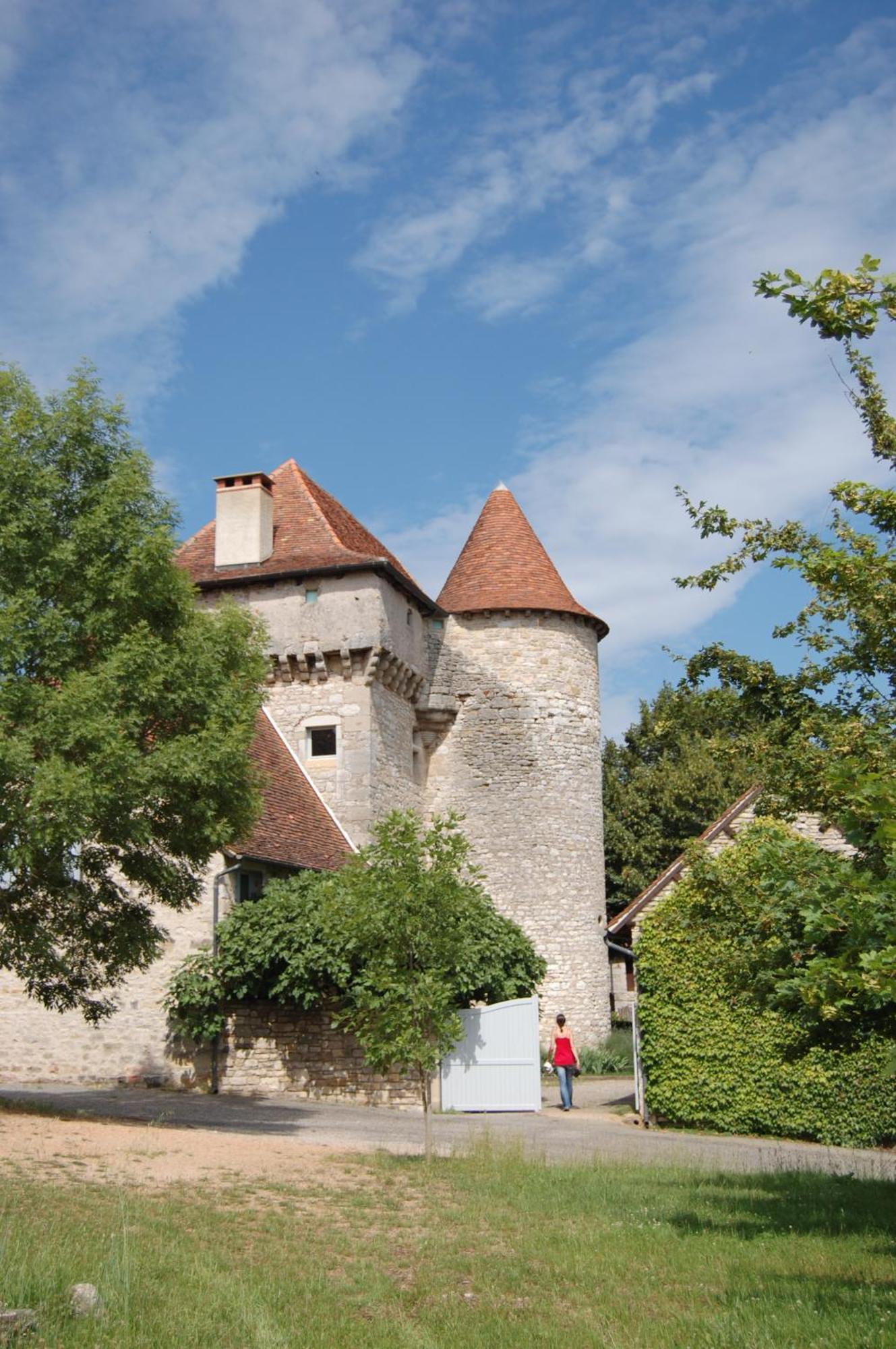 Château de Camboulan Ambeyrac Exterior foto