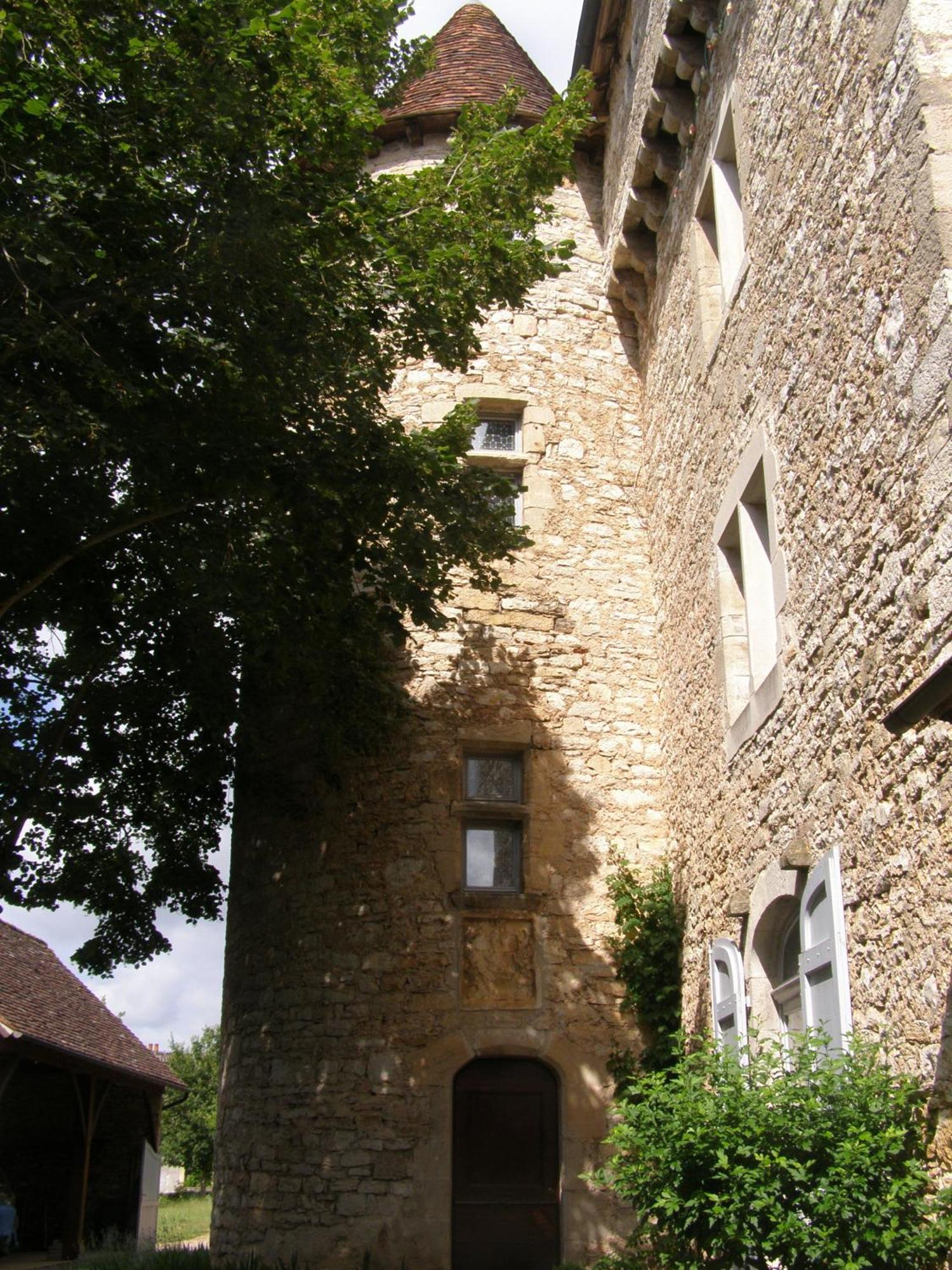 Château de Camboulan Ambeyrac Exterior foto
